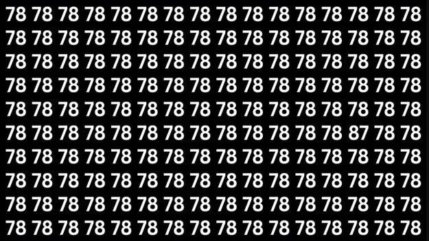 Optical Illusion Test: మీ సమర్థతకు పరీక్ష.. 78ల మధ్యనున్న 87ను 10 సెకెన్లలో కనిపెట్టండి..