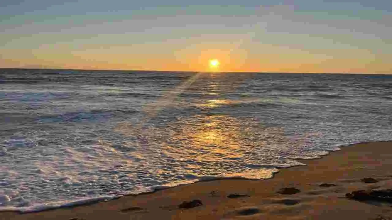 Optical Illusion Test: మీ కళ్లకు సూపర్ పరీక్ష.. ఈ సముద్రంలో సీల్ చేప ఎక్కడుందో 8 సెకెన్లలో కనిపెట్టండి..