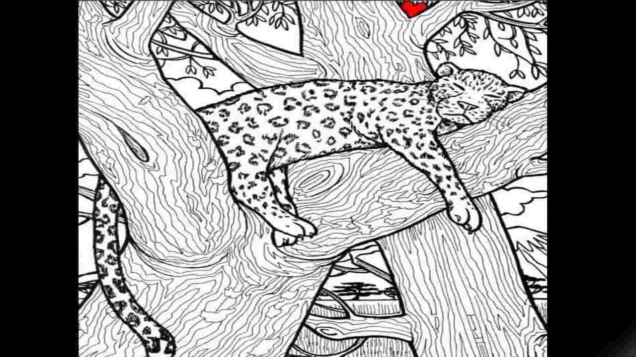 Optical Illusion Test: మీది హెచ్‌డీ చూపు అయితే.. ఈ ఫొటోలో చేపను 10 సెకెన్లలో కనిపెట్టండి..