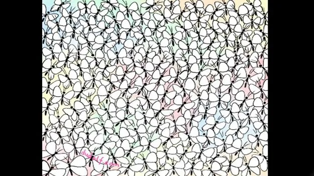 Optical Illusion Test: మీ చూపు పవర్‌ఫుల్ అయితే.. సీతాకోకచిలుకల మధ్యన చీమను 6 సెకెన్లలో కనిపెట్టండి..