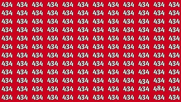 Optical Illusion Test: మీ చూపు శక్తివంతమైనదైతే.. ఈ ఫొటోలో 484ను 20 సెకెన్లలో కనిపెట్టండి..