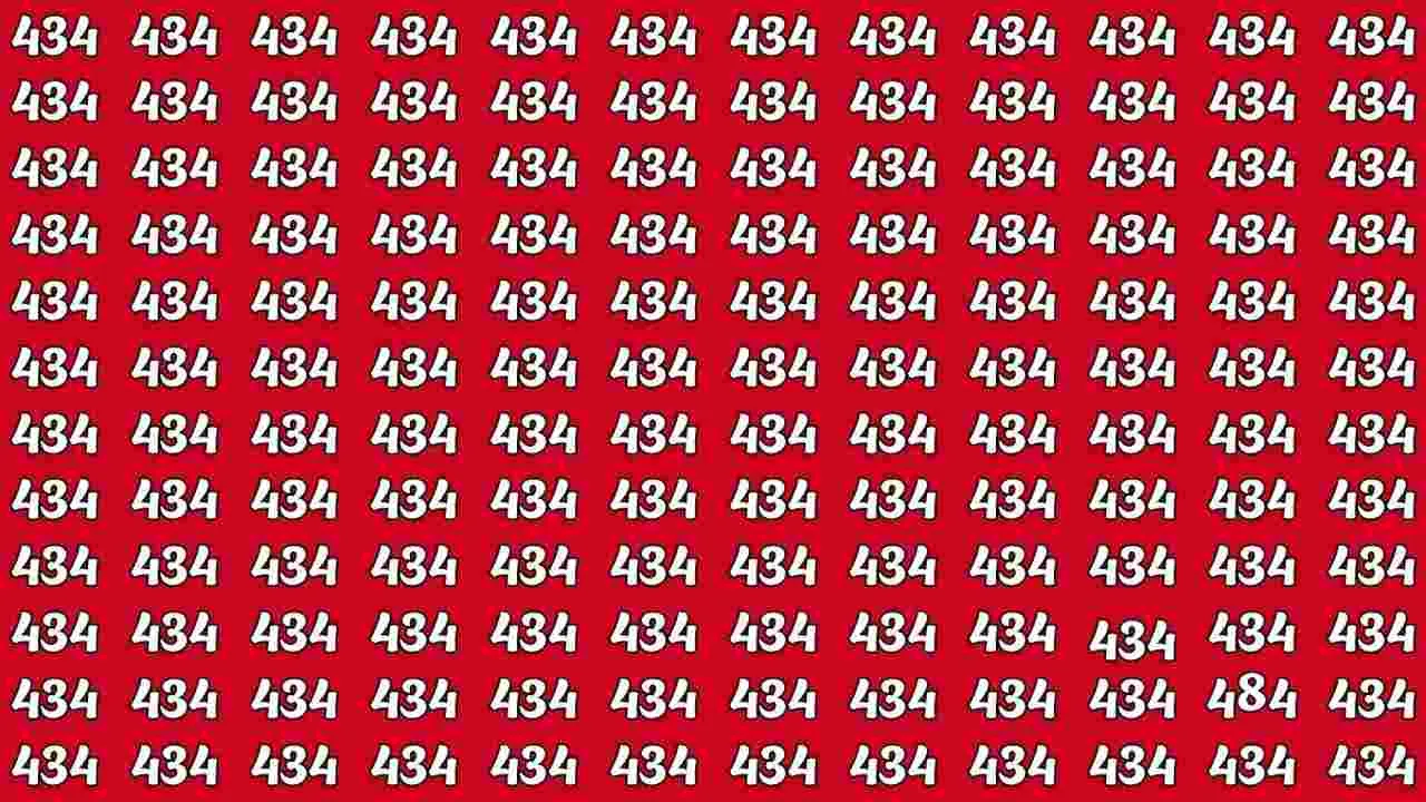 Optical Illusion Test: మీ చూపు శక్తివంతమైనదైతే.. ఈ ఫొటోలో 484ను 20 సెకెన్లలో కనిపెట్టండి..