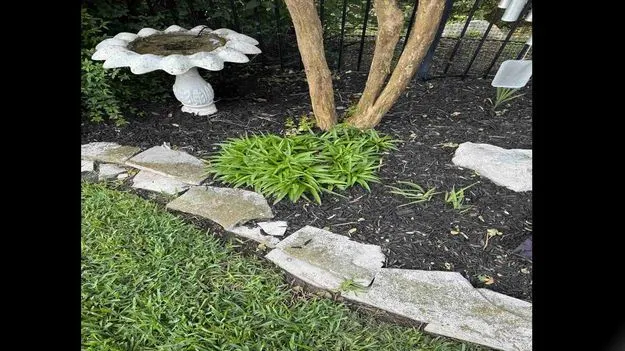 Optical Illusion Test: మీది డేగ చూపు అయితే.. ఈ ఫొటోలో పాము ఎక్కడుందో 20 సెకెన్లలో కనిపెట్టండి..