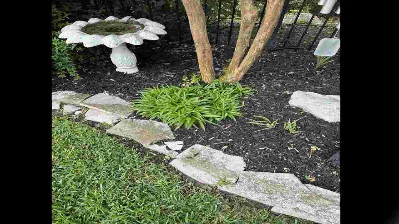 Optical Illusion Test: మీది డేగ చూపు అయితే.. ఈ ఫొటోలో పాము ఎక్కడుందో 20 సెకెన్లలో కనిపెట్టండి..