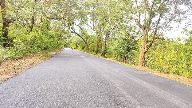  Showed the Way!  ‘దారి’ చూపించారు!