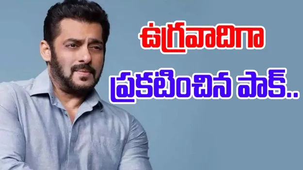 Salman Khan: సల్మాన్ ఖాన్ వ్యాఖ్యలపై ఆగ్రహం.. టెర్రరిస్ట్ అని ప్రకటించిన పాక్..