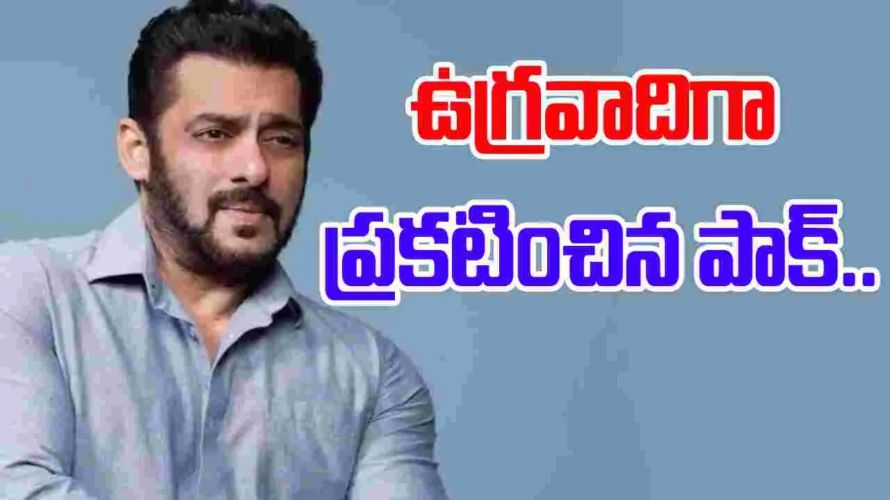 Salman Khan: సల్మాన్ ఖాన్ వ్యాఖ్యలపై ఆగ్రహం.. టెర్రరిస్ట్ అని ప్రకటించిన పాక్..