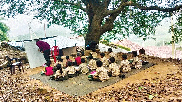 Studies Under the Tree  చెట్టు కిందే చదువులు