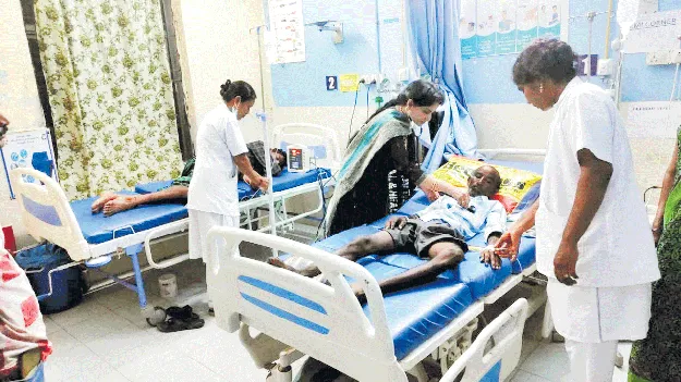 ప్రత్తిపాడులో పాము కాట్లు