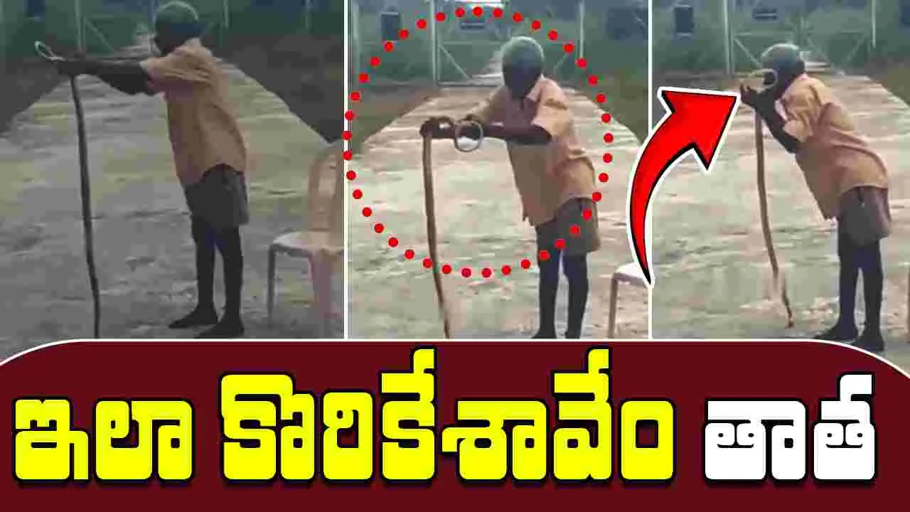  Viral Video: కొట్టినా చావలేదని.. పామును నోటితో కొరికాడు 