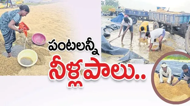 పంటలన్నీ నీళ్లపాలు..