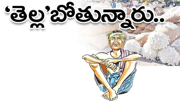 ‘తెల్ల’బోతున్నారు..