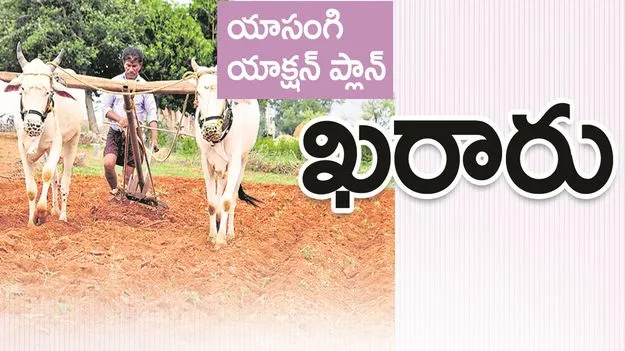యాసంగి యాక్షన్‌ ప్లాన్‌ ఖరారు