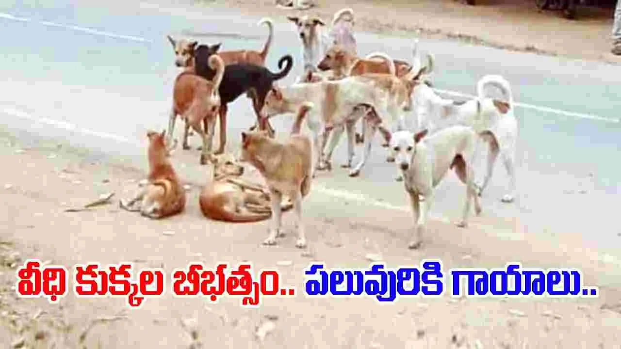 Dogs ​​Attack in Hyderabad: హైదరాబాద్‌లో వీధి కుక్కల దాడి.. పలువురికి గాయాలు