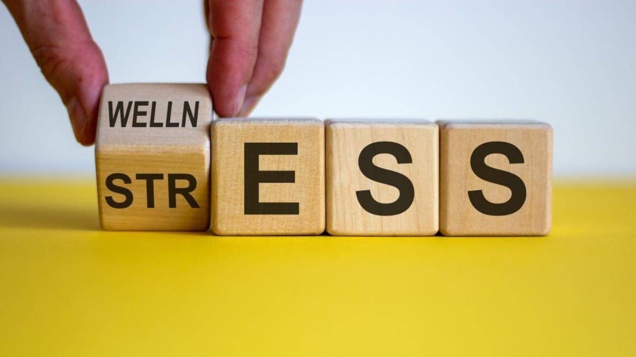 Stress Management: ఇలా చేస్తే ఒత్తిడిపై విజయం