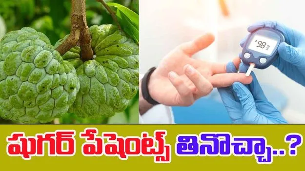 Sitaphal For Diabetes: షుగర్ పేషెంట్స్ సీతాఫలం తింటే ఏం అవుతుందో తెలుసా..?