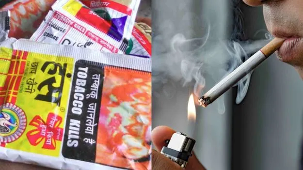 Tobacco Cancer Risk: సిగరెట్ల కన్నా పొగాకు మరింత ప్రమాదకరమా..అధ్యయనంలో షాకింగ్ విషయాలు
