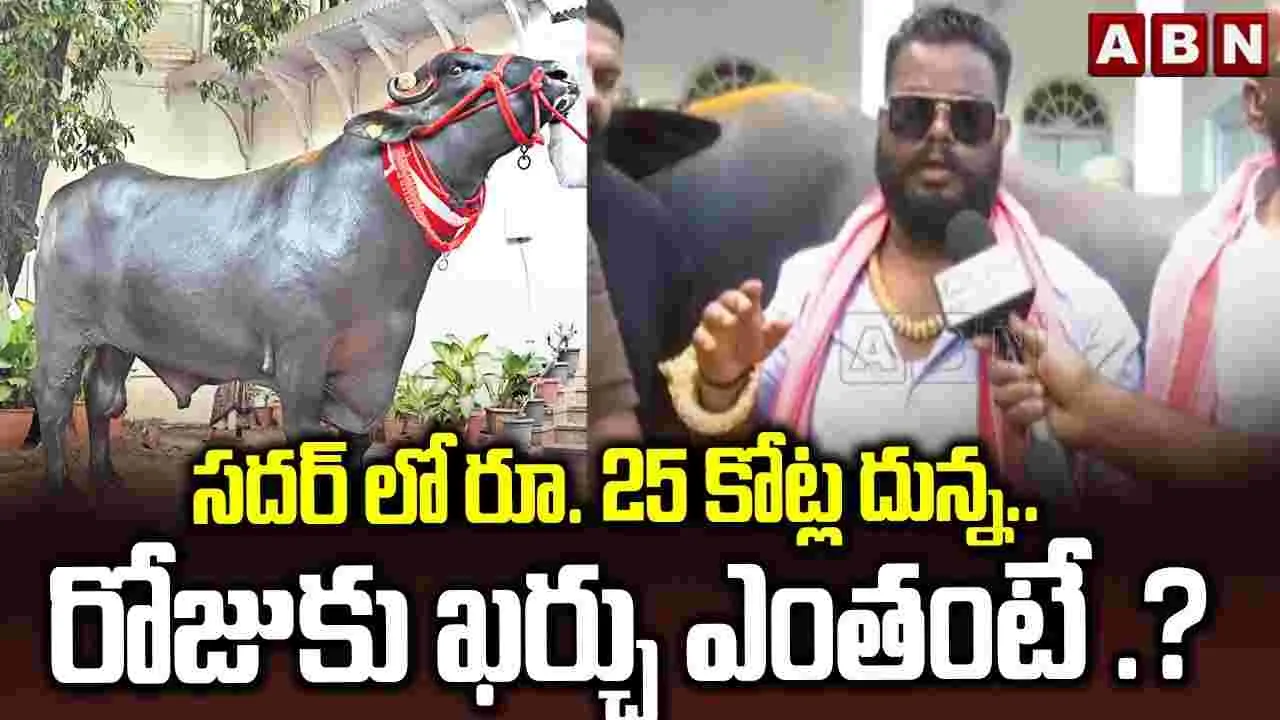 సదర్‌లో రూ. 25 కోట్ల దున్నరాజు.. రోజుకు ఖర్చు ఎంతంటే .?