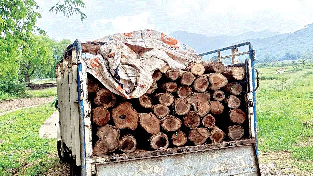 wood తరలిపోతున్నా.. పట్టించుకోరా?