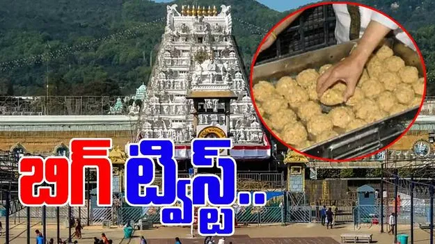 Tirumala Laddu: తిరుమల లడ్డూ కల్తీ కేసు.. వెలుగులోకి షాకింగ్ వాస్తవాలు..