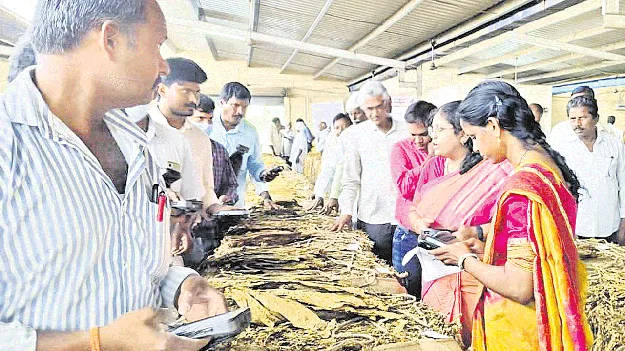 పొగాకు ధరలు పతనం