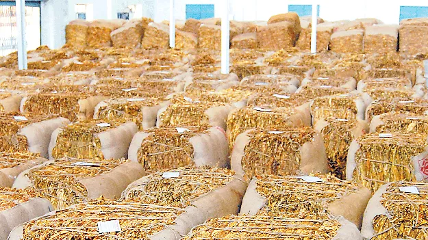 ఆరంభం అదుర్స్‌!