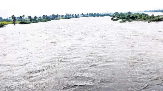 బిక్కేరుకు  జలకళ