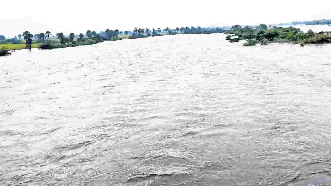 బిక్కేరుకు  జలకళ