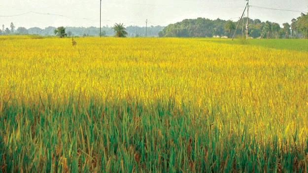 ముంచుకొస్తున్న... ‘మొంథా’ 