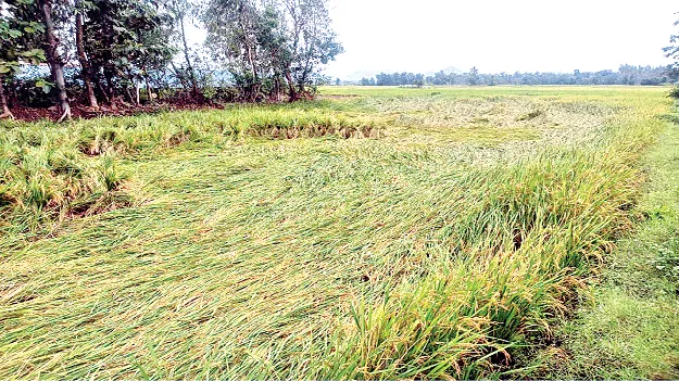 Cyclone తుఫాన్‌ గుబులు!