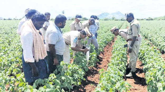 మరపగుంట్లలో చిరుత సంచారం!