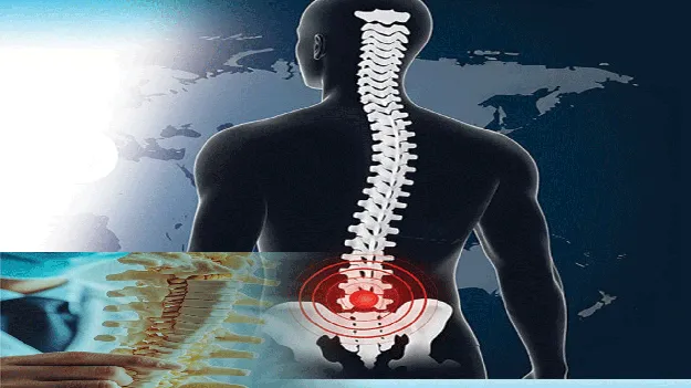 వెన్నెముకే ప్రధానం. 