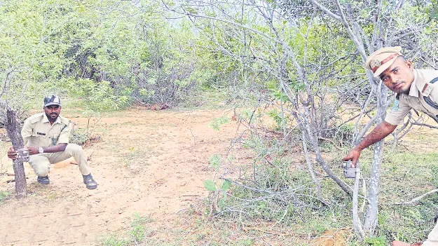 చిరుత ఆచూకీ కోసం ట్రాప్‌ కెమెరాలు