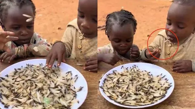 Children Eat Live Termites: ఏఐ కాదు.. ఆకలి తట్టుకోలేక పురుగుల్ని తింటున్న చిన్నారులు..