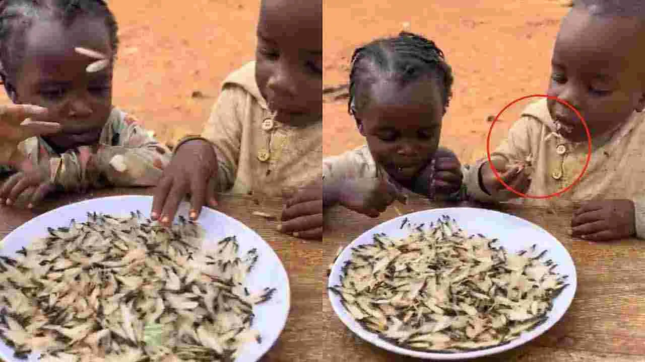 Children Eat Live Termites: ఏఐ కాదు.. ఆకలి తట్టుకోలేక పురుగుల్ని తింటున్న చిన్నారులు..
