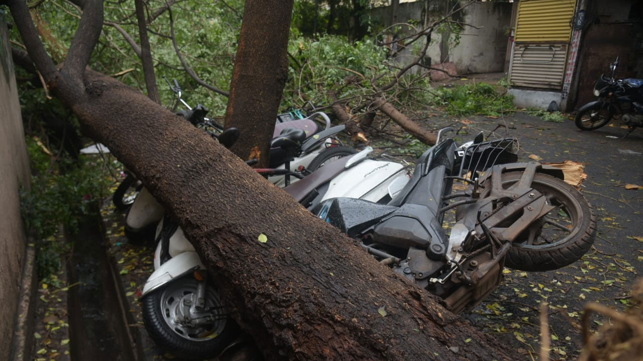 Visakhapatnam Rains: విశాఖలో వర్ష బీభత్సం.. నేలకొరిగిన భారీ వృక్షాలు