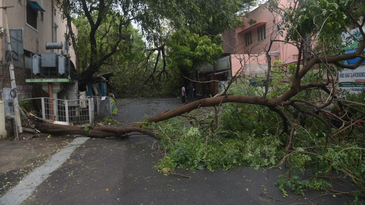 Visakhapatnam Rains: విశాఖలో వర్ష బీభత్సం.. నేలకొరిగిన భారీ వృక్షాలు