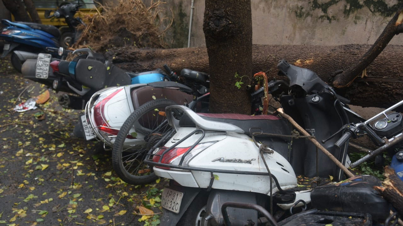 Visakhapatnam Rains: విశాఖలో వర్ష బీభత్సం.. నేలకొరిగిన భారీ వృక్షాలు