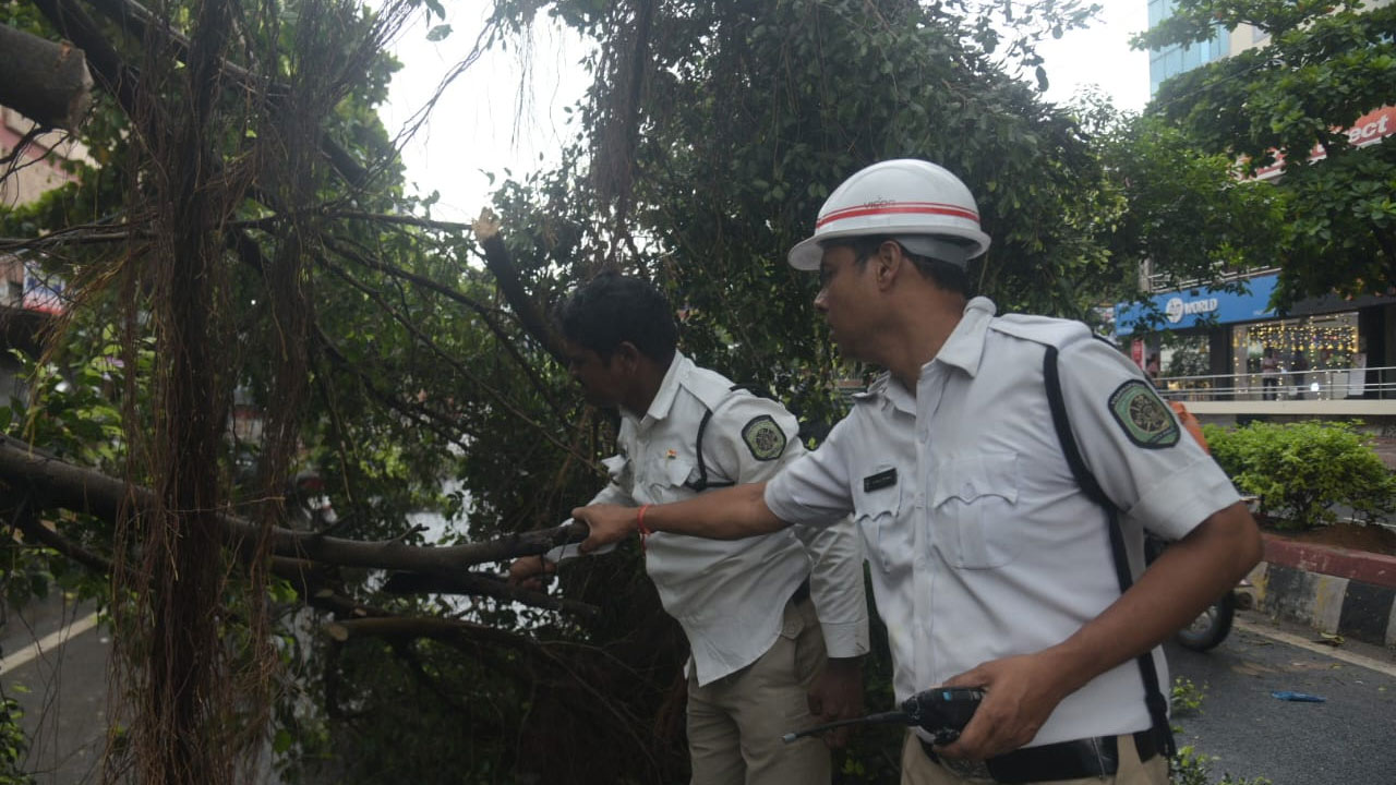Visakhapatnam Rains: విశాఖలో వర్ష బీభత్సం.. నేలకొరిగిన భారీ వృక్షాలు