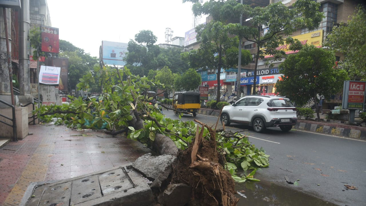 Visakhapatnam Rains: విశాఖలో వర్ష బీభత్సం.. నేలకొరిగిన భారీ వృక్షాలు