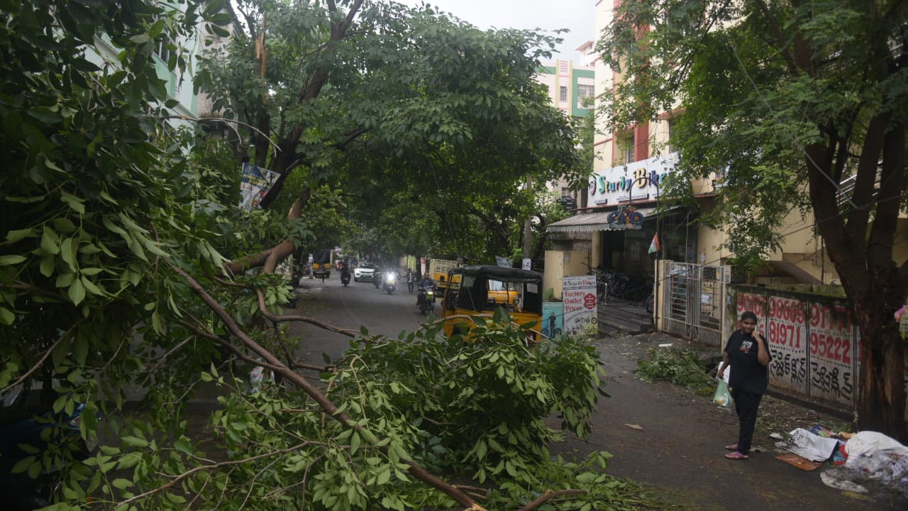 Visakhapatnam Rains: విశాఖలో వర్ష బీభత్సం.. నేలకొరిగిన భారీ వృక్షాలు