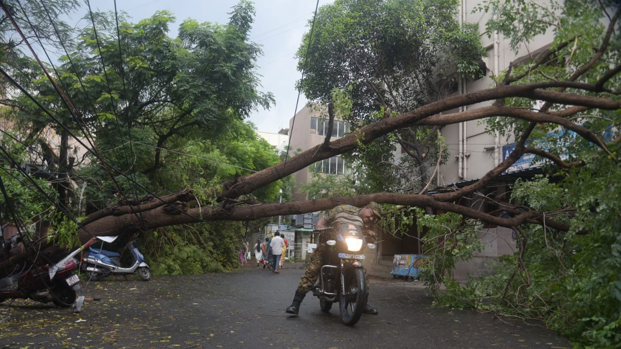 Visakhapatnam Rains: విశాఖలో వర్ష బీభత్సం.. నేలకొరిగిన భారీ వృక్షాలు