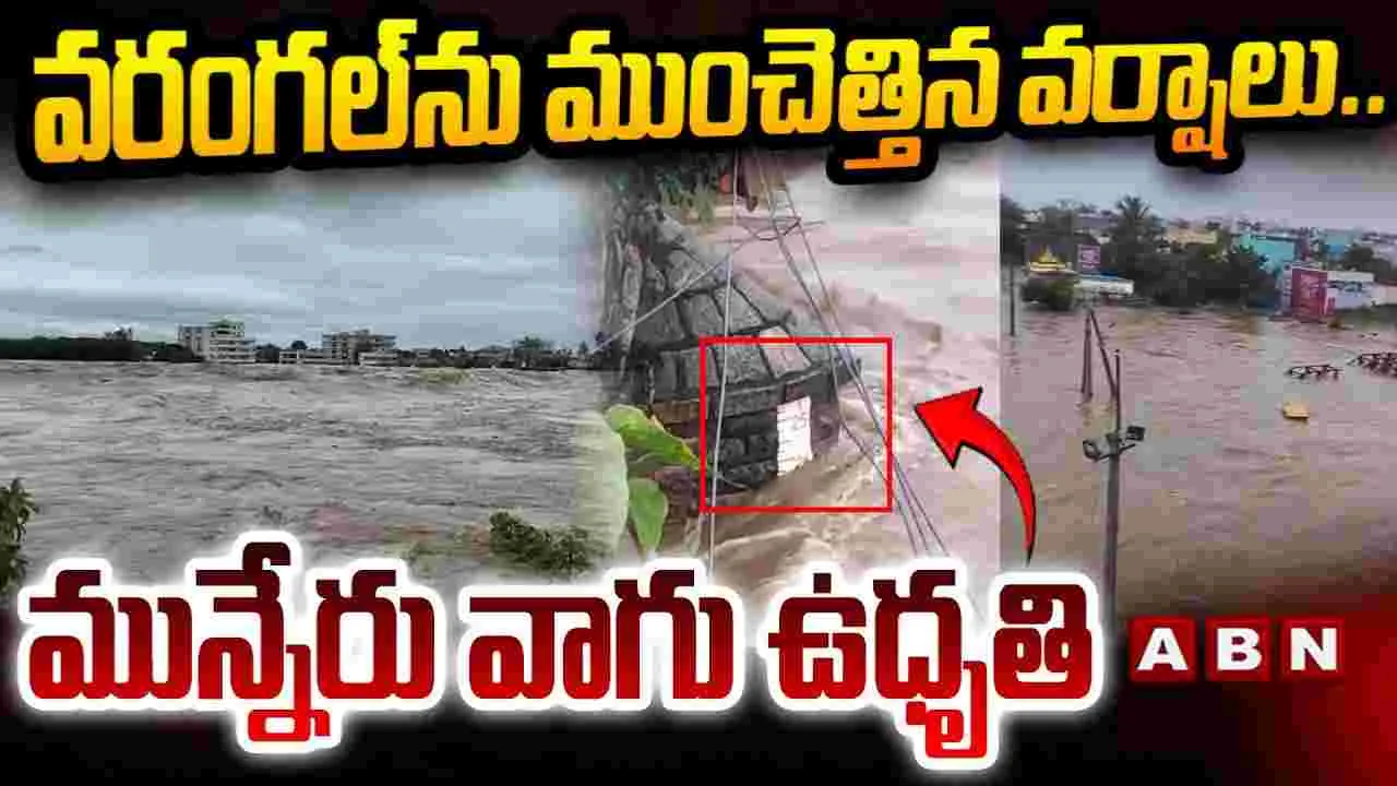 Warangal Floods: వరంగల్ ను ముంచెత్తిన వర్షాలు..మున్నేరు వాగు ఉధృతి 