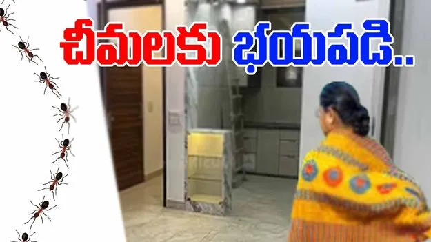  Ant phobia: చీమల ఫోబియాతో మహిళ షాకింగ్ నిర్ణయం.. సూసైడ్ నోట్ రాసి..