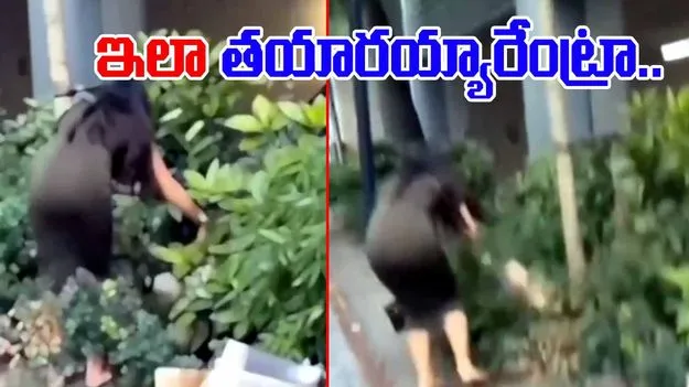 Woman Viral Video: రోడ్డు పక్కన పొదల్లో పడిపోయిన యువతి.. సమీపానికి వెళ్లి చూడగా.. 