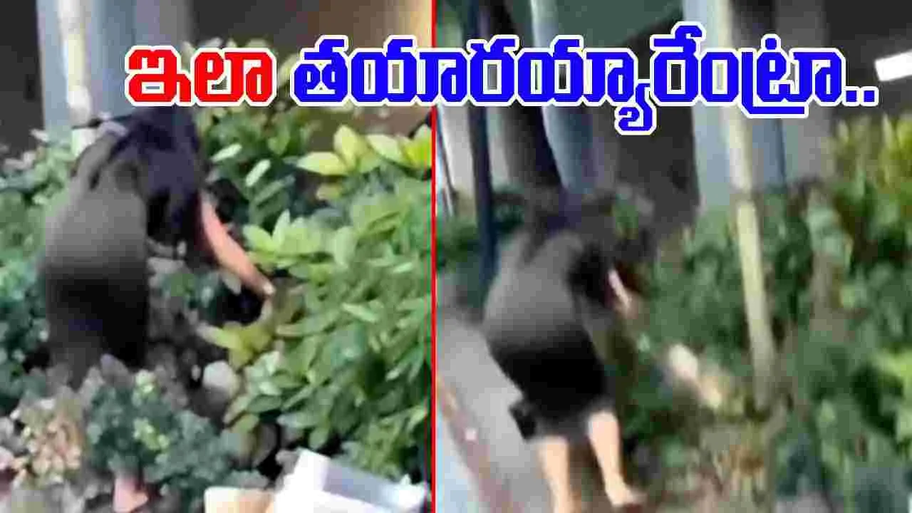 Woman Viral Video: రోడ్డు పక్కన పొదల్లో పడిపోయిన యువతి.. సమీపానికి వెళ్లి చూడగా.. 