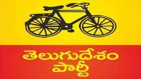 TDP: టీడీపీ నేతల ఫైర్‌.. ప్రజాసమస్యలపై నిర్లక్ష్యం వల్లే పదవి ఊడింది..