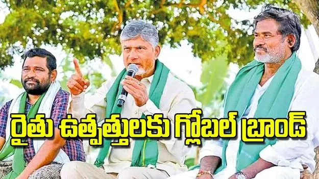 AP CM Chandrababu: రైతు ఉత్పత్తులకు గ్లోబల్‌ బ్రాండ్‌