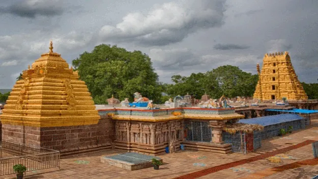   వైభవంగా మల్లన్నకు ఆరుద్రోత్సవం 