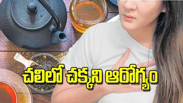 Ayurvedic Tips to Boost Immunity in Winter: చలిలో చక్కని ఆరోగ్యం
